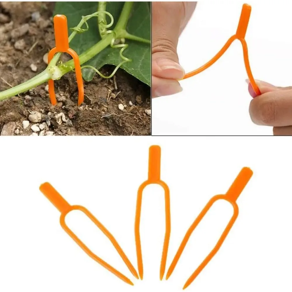 Plant Fixing Clips Plastic Farming Fork for Stolon Fixing  Fastening Fixture Garden Strawberry Seedling Tomato Support Tools 4