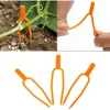 Plant Fixing Clips Plastic Farming Fork for Stolon Fixing  Fastening Fixture Garden Strawberry Seedling Tomato Support Tools 4