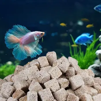 Natural Freeze Dried Bloodworms Cube Tubifexes Worms High Protein Fish Feed For Aquarium Tropical Fish Marine Fish Frog Tortoise 2 Natural Freeze Dried Bloodworms Cube Tubifexes Worms High Protein Fish Feed For Aquarium Tropical Fish Marine Fish Frog Tortoise 2