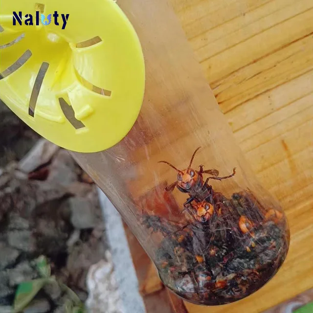 5-30 Darabos Újrafelhasználható Sárga Műanyag Méh Darázs Virág Alakú Repülõ Rovarok Tölcsér Csapda Kártevőirtó Gyilkos Otthon Kültér - Image 4