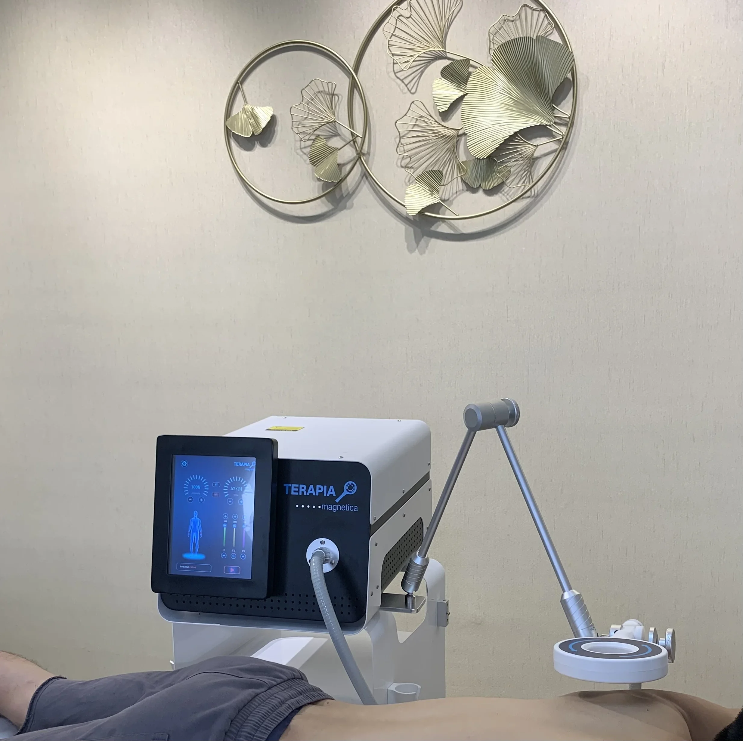 Physio Magneto Therapy Body Slimming Machine Physiotherapy salon EMS ...