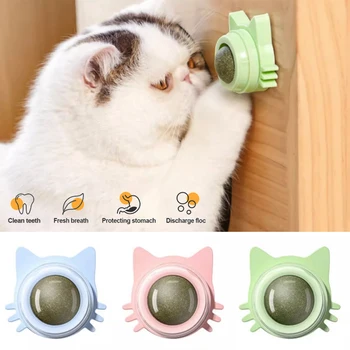 Catnip 건강한 영양 페이스트 롤리팝 고양이 용품, 벽에 박하 새끼 고양이 에너지 공 사탕 간식, 애완 동물 제품