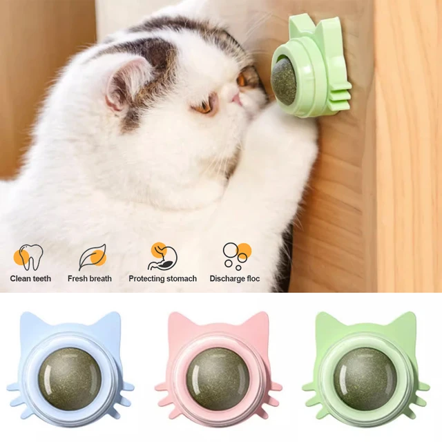 Catnip Lollipop Ball 1