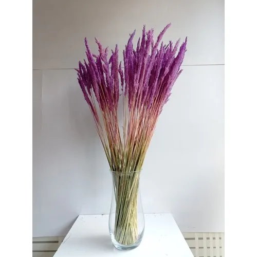 Vaso Di Vetro Fiore Mimosa Orecchio Di Mare Fucsia Doppio Fascio