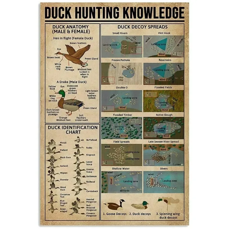 Duck Hunting Knowledge Metal Tin Sign New Vintage Decor Per Home Office Restaurant Garage Bar 8X12 Pollici