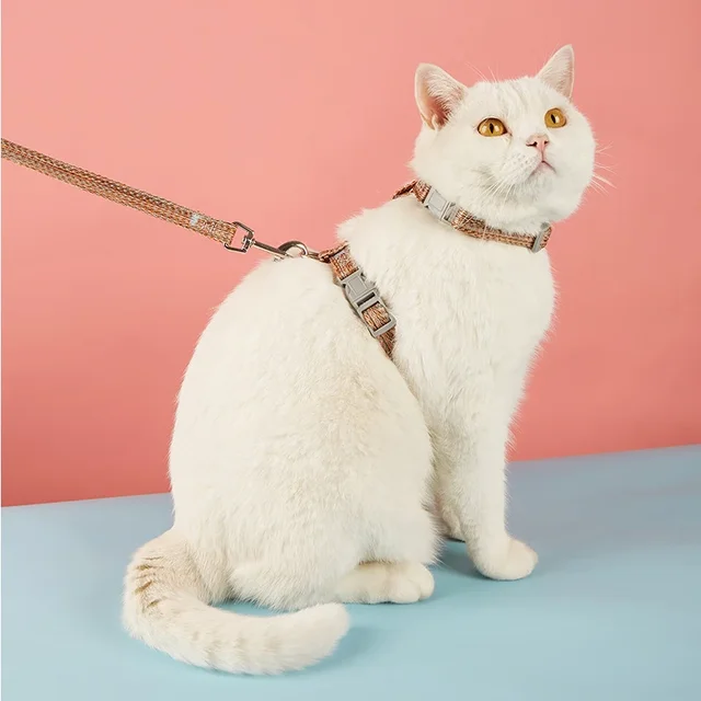 Pet Cat Adjustable Chest Strap Anti-escape Small Medium Dog Cat Harness Leash Set Breathable Reflective Chest Strap Pet Supplies 2