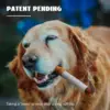 Fun Interactive Dog Toy Cigarette Teething Resistant Toy Pet Dog Plush Chew Toy with Squeak Dog Cigarette Box Toy Pet Gift 2