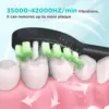 Fairywill Electric Sonic Toothbrush FW-Y05 USB Charge Rechargeable Adult Waterproof Electronic Tooth Brushes Replacement Heads 6