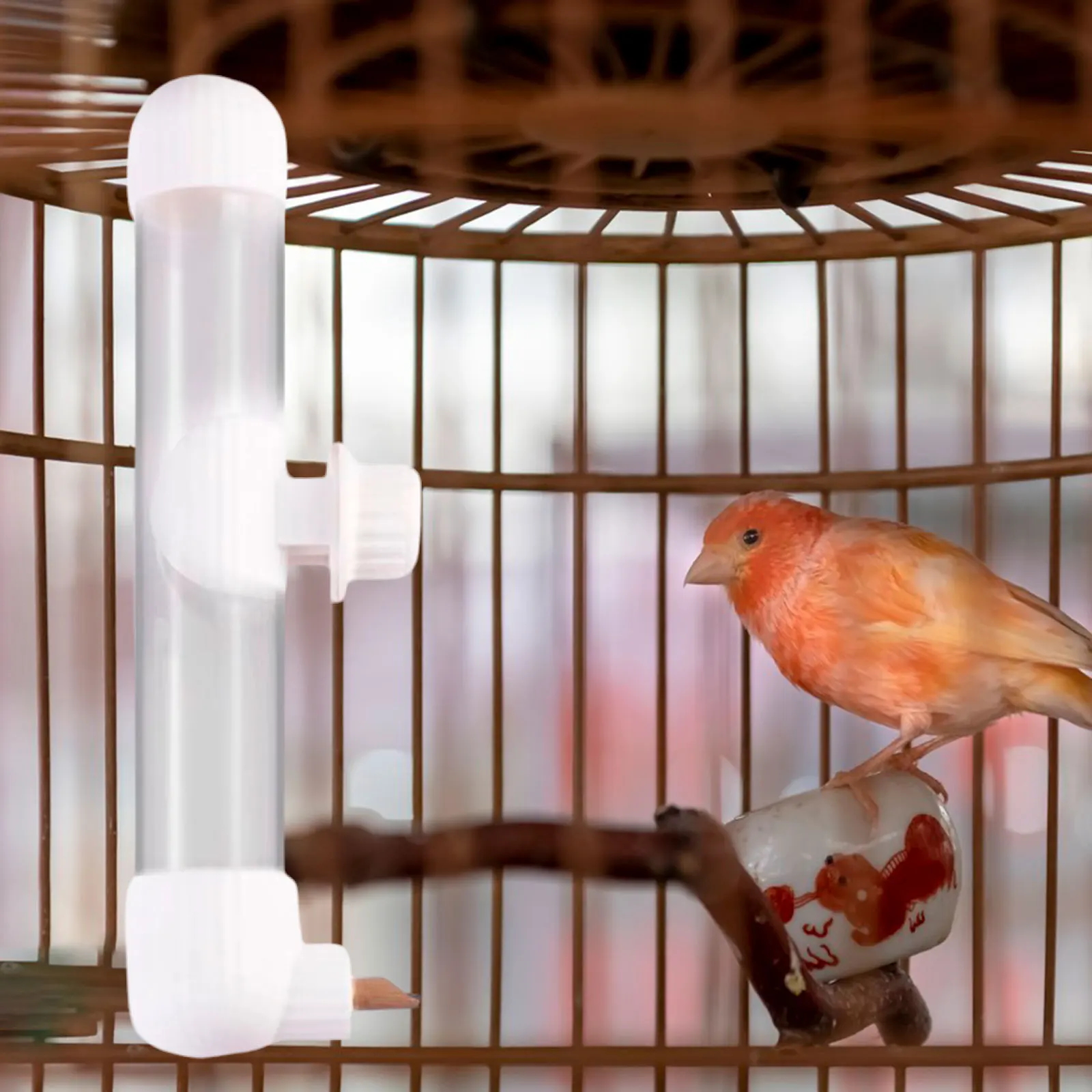 Bird Drinker Waterer Automatic Drinking Device Leak Proof Bird Drinker Waterer Water Feeder Portable for Parakeet Conures