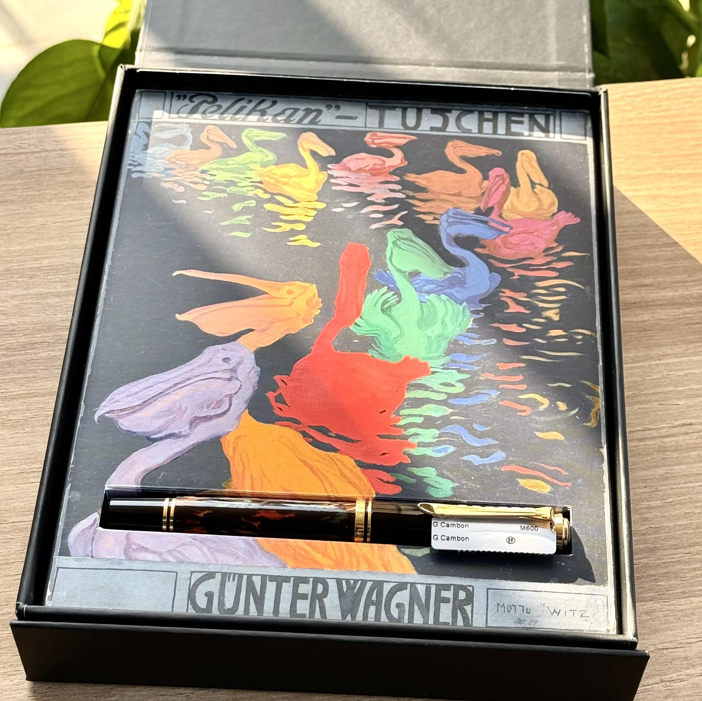German Original Pelikan M600 Resin Fountain Pen 14K Gold Nib Art Collection Llimited Edition Gift Box Writing Pen
