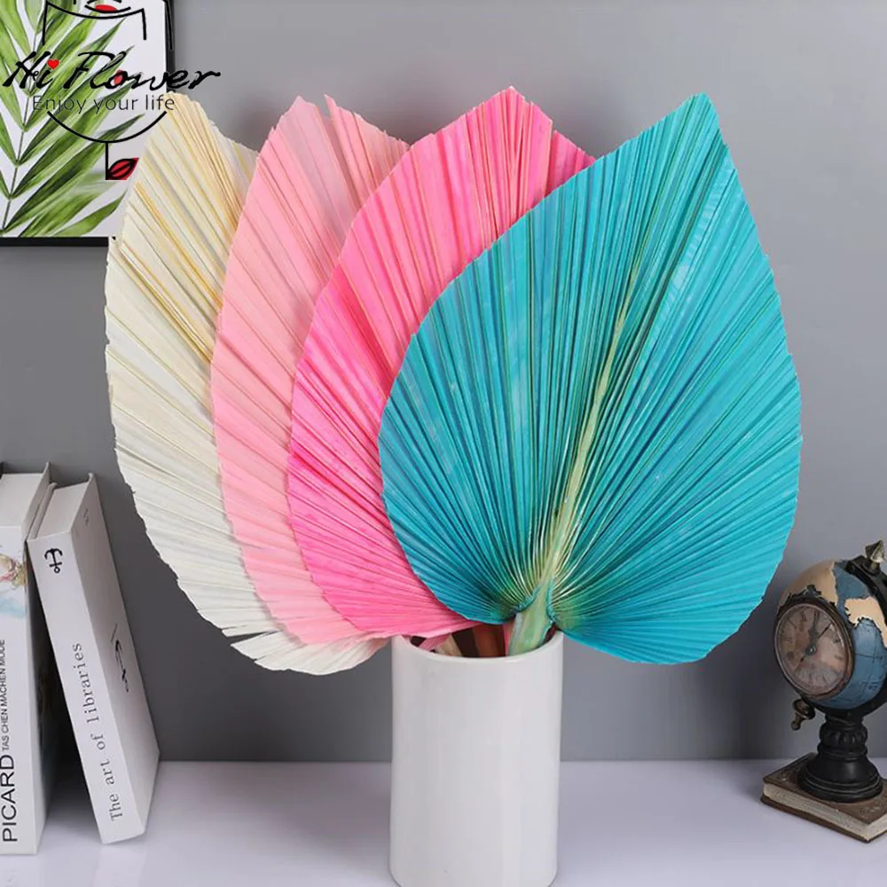 Colorful Dried Palmetto Leaves Preserved Flower Interior Decor Real