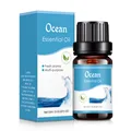 Ocean B 1pc
