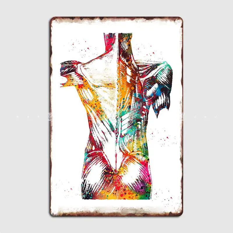 

Superficial Muscles Back Poster Metal Plaque Plaques Kitchen Cinema Living Room Retro Tin Sign PosterRoom Bar Cafe Wall Painting