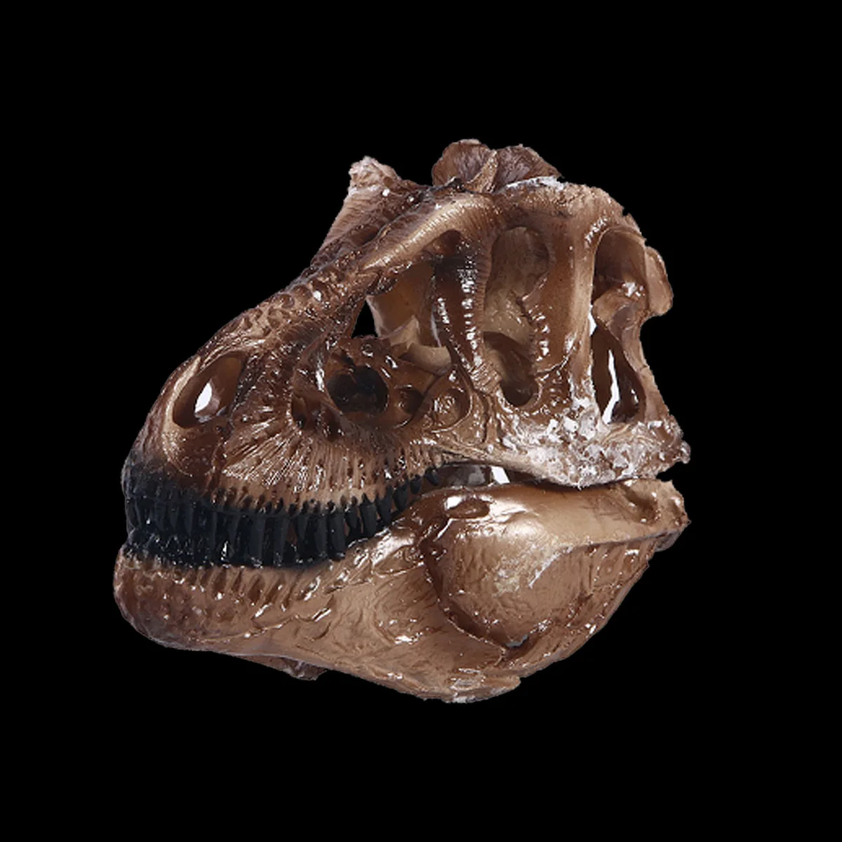 Tyrannosaurus Rex Little Dinosaur Resin Crafts Brown Antique Head Skull Fossil Skeleton Dinosaur Skull Statue Dinosaur Decor