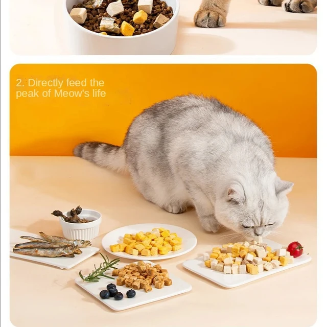 애완동물의 건강과 행복을 위한 최고의 간식: 동결 건조 닭 과립