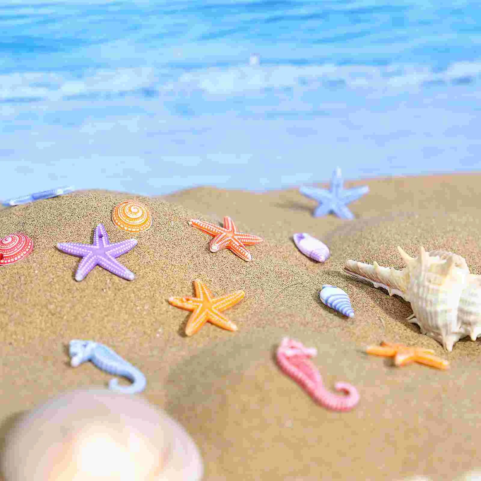 Sea Beach Shells Decorations Landscaping Ocean Crafts 2