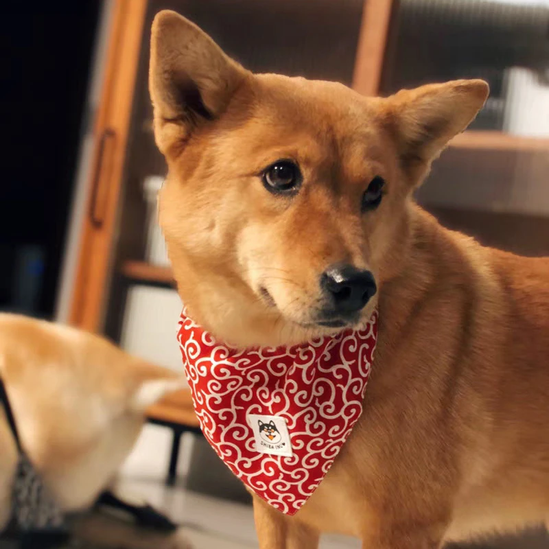 Dog Accessories Pet Dog Bandana Collar Collar Neckerchief Cute Puppy and Shiba Inu Printed Triangle Neck Scarf Saliva Dog Collar