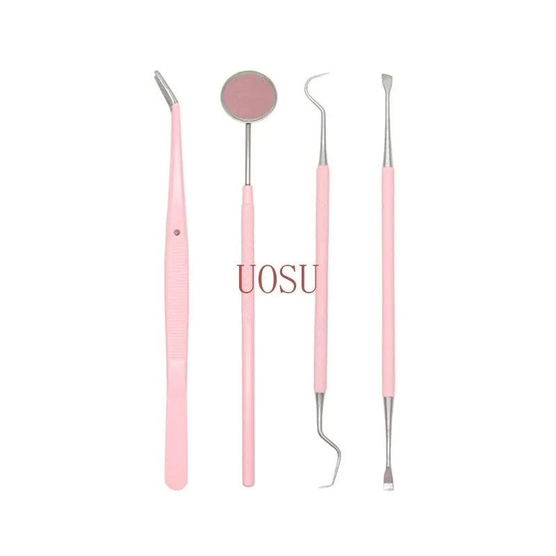 Pink Stainless Steel Dental Care Kit