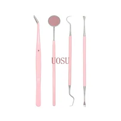 Pink Stainless Steel Dental Care Kit (4PCS)