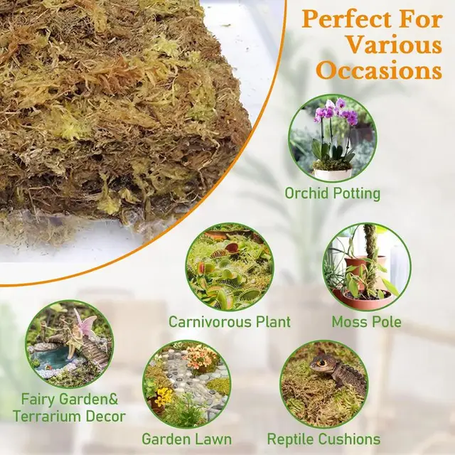 Természetes Sphagnum Mohás Táplálkozás Szerves Műtrágya A Kertészeti Növények Hidratáló Orchidea Védelme Elősegíti Páratartalmat - Image 4