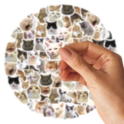 46pcs Set: Vibrant Cat Stickers for Decorating and Personalizing (230pcs)