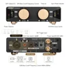 AIYIMA Audio A70 MONO TPA3255 PFFB mono 2.0/2.1/5.1/7.1 Power Amplifier 300W Class D Digital Amp with XLR RCA Trigger Input 2