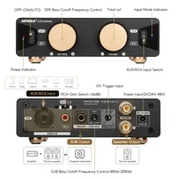AIYIMA Audio A70 MONO TPA3255 PFFB mono 2.0/2.1/5.1/7.1 Power Amplifier 300W Class D Digital Amp with XLR RCA Trigger Input 2