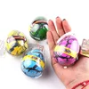4PCS/Set Hatching Eggs Dinosaur Water Grow Novelty Magic Egg Dinosaur Toy Science Kits Educational Toys for Kids Gifts Dino Egg 3