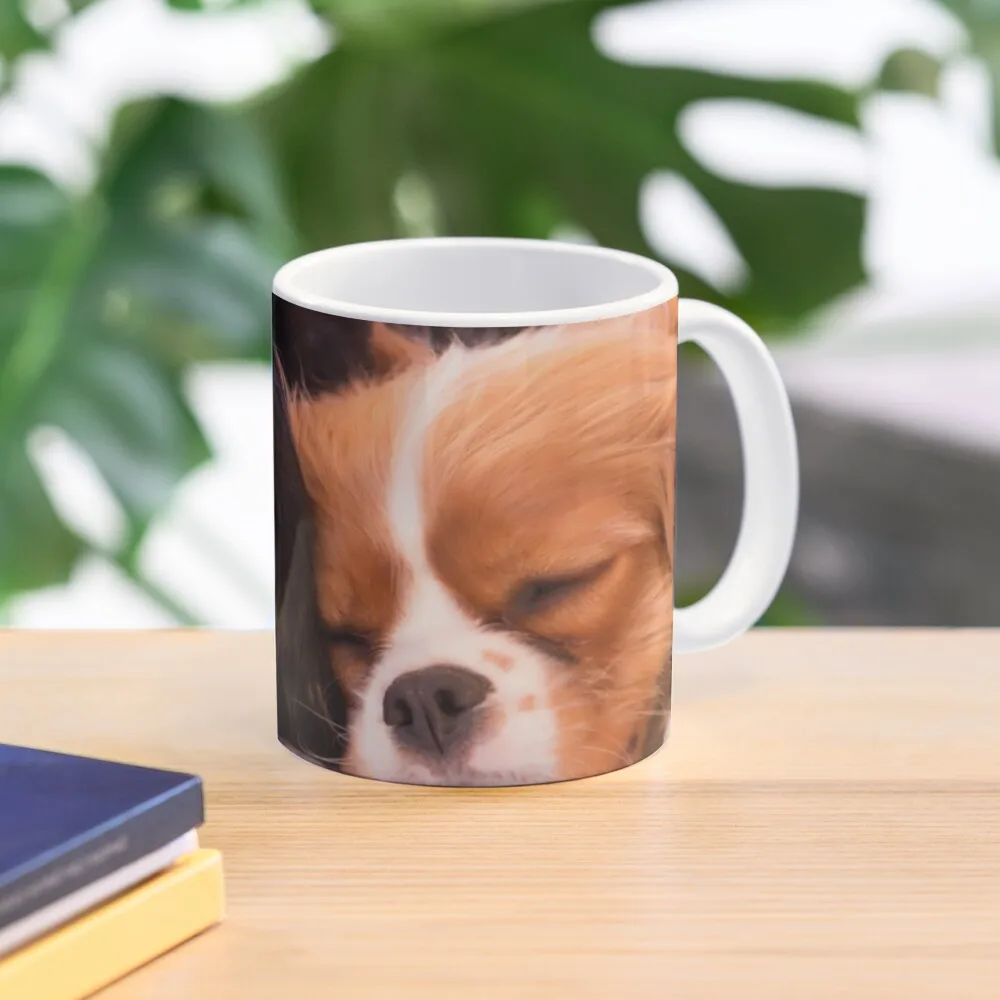 

Sleeping Buddies Cavalier King Charles Spaniels Coffee Mug Thermal Cups Thermal Cups For Cafe Coffe Cups Mug