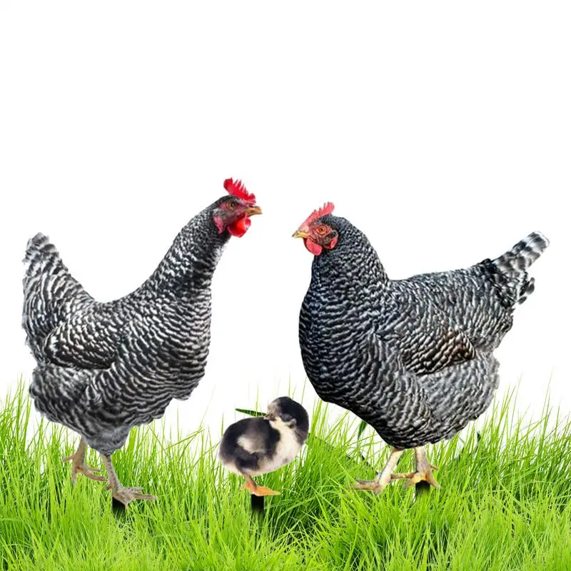 Chicken Garden Stake Chicken Garden Art 3X Weather-Resistant Iron Hen Chicks Spikes For Landscape Easter Kitchen Lawn