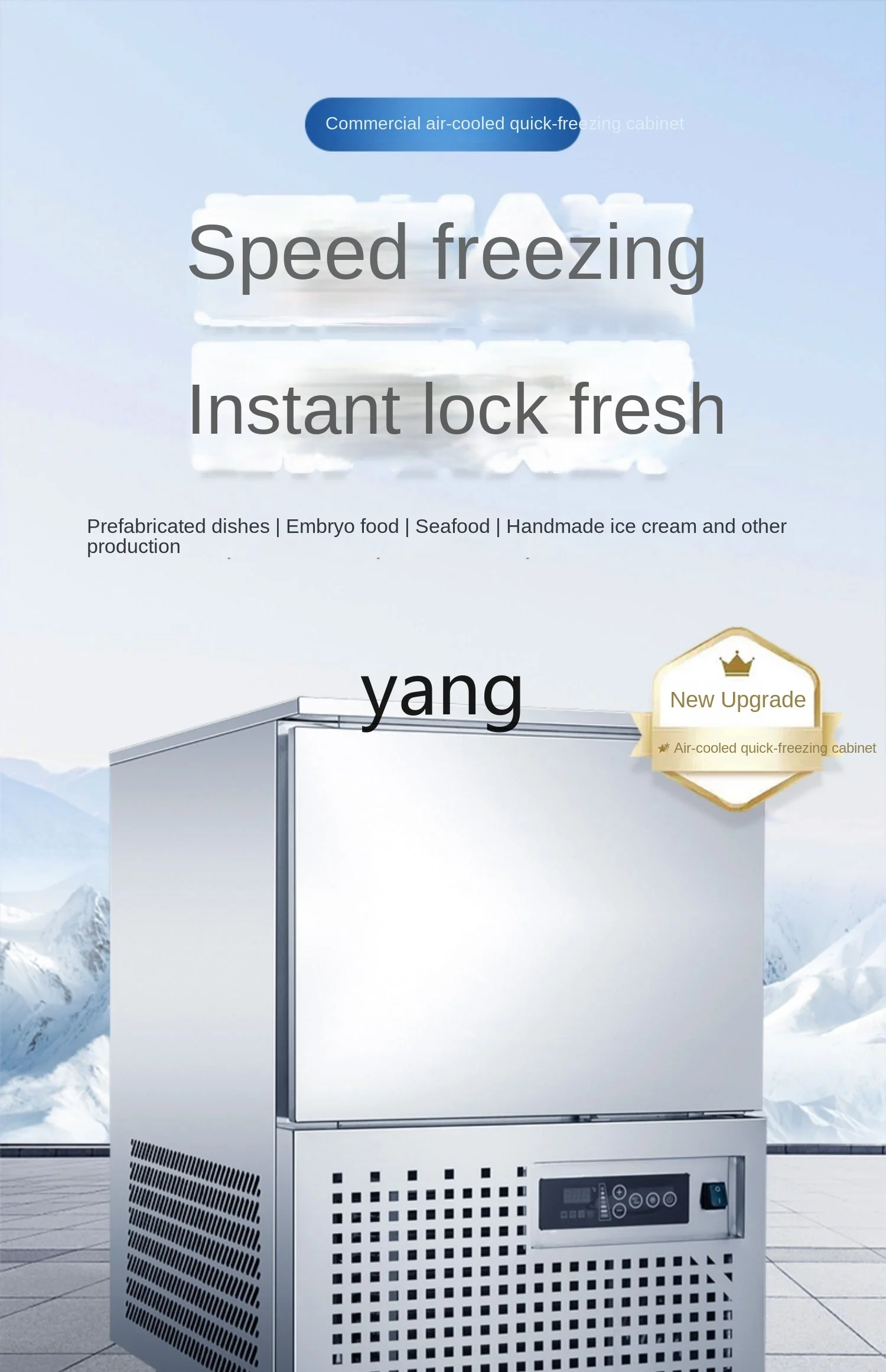 CX Commercial Air-Cooled Four-Door Low-Temperature Freezer Steamed Stuffed Bun Quick-Freezing Plug-in Disc Refrigerator