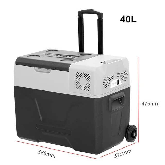 Mini nevera para el hogar y el coche, refrigerador de 24L, 12/24V,  110/220V, congelador, calentador, caja de almacenamiento de alimentos para  coche, hogar, Camping, Pinic - AliExpress