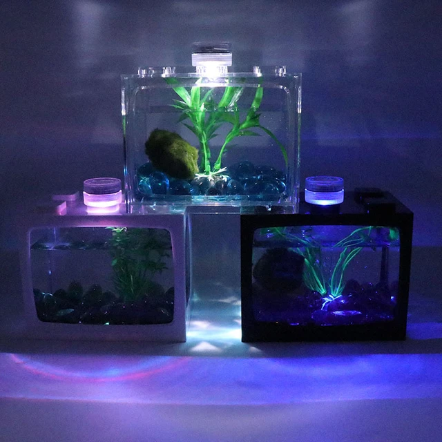 Jellyfish Shrimp Ecological Tank Mini Fish Tank Goldfish Bucket Fish Table  Small Acrylic Plastic Aquarium Micro Landscape - Aquariums - AliExpress