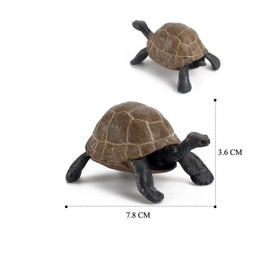 Realistic Sea Turtle Growth Cycle Educational Toy and Cake Topper Gift