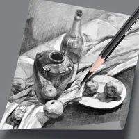6 Pieces/Set Artist Black White Charcoal Pencils Set for Drawing Sketching Shading on Dark Papers Colored Cardboard 4