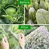 Garden Insect Protection Net Plant Vegetable Fruit Care Cover Network Greenhouse Protective Net Pest Control Anti-Bird Net 3