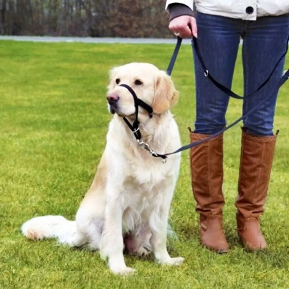 Adjustable Anti Barking Non Pull Dog Muzzle Dog Halter Leader Harness Dog Head Collar_voghion.com