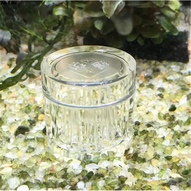 8 Hole Snail Trap Transparent Leech Vivarium Planarian Pest Catch Pen red bee shrimp Worm Bait Feeding Box Aquarium Cleaner Tool 5