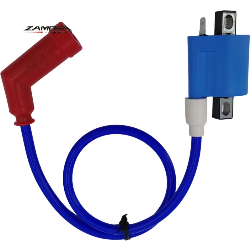 Bobina Accensione Per Moto E ATV - Sostituzione Per 150CC-250CC - Foto 8