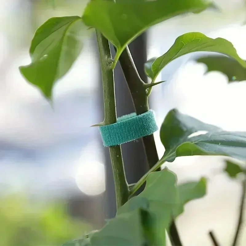Green Plant Nylon Cable Ties for Garden Support
