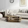 Oval coffee table, designed boldly and aesthetically pleasing, easy to clean, sturdy and durable, suitable for living rooms 2