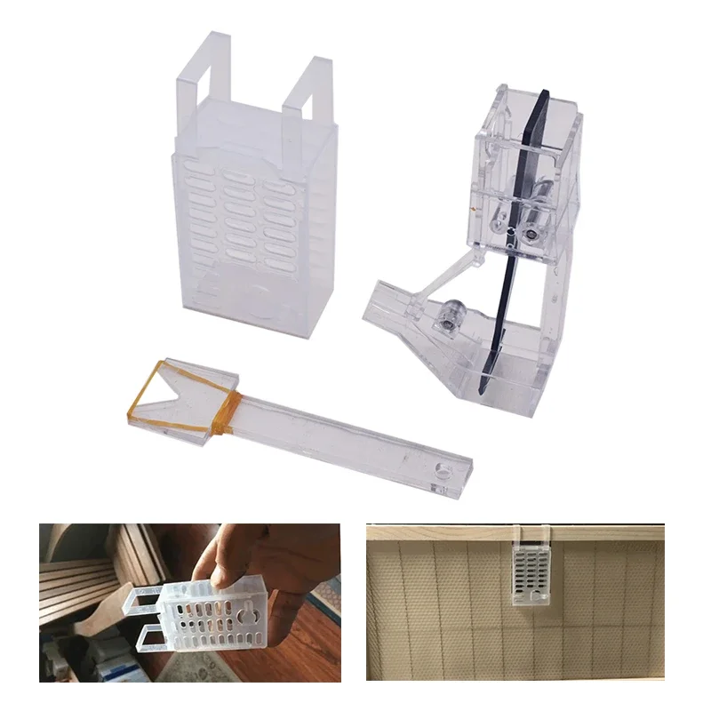 Beekeeping Varroa Block Queen Cage for Fighting Varroa Mites Through Brood Block with Queen Bee Catcher Beehive Control Varroa