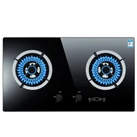 4000W Heat Flow Domestic Embedded Gas Stove Natural Gas Stove Liquefied Gas Hob Tempered Glass Panel Double Stove Cooktop 1