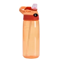 500ml Portable Straw Water Bottle for Kids - Large, Leak - Proof Sports & Fitness Cup with Time Scale (5)