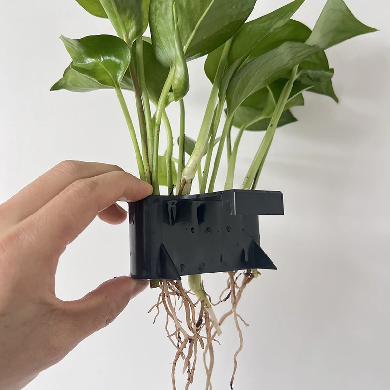 Fish Tank Plants Aquarium Plant Holder Fixed Holder Hanging Aquatic Planter Emersed Green Plant Pot With Hole 1pc