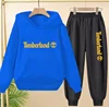 Spring Autumn New Fashion Kids Tracksuits 3-12 Years Boys and Girls Casual Sports Hoodie Tops+pants 2pcs Sets Children Clothes