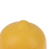 Onion Green Pepper Garlic Shaped Food Containers Lemon Fruits Fresh Box Plastic Vegetable Fresh-keeping Box Refrigerator Storage 4