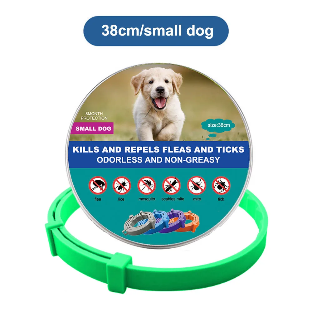 green (small dogs)