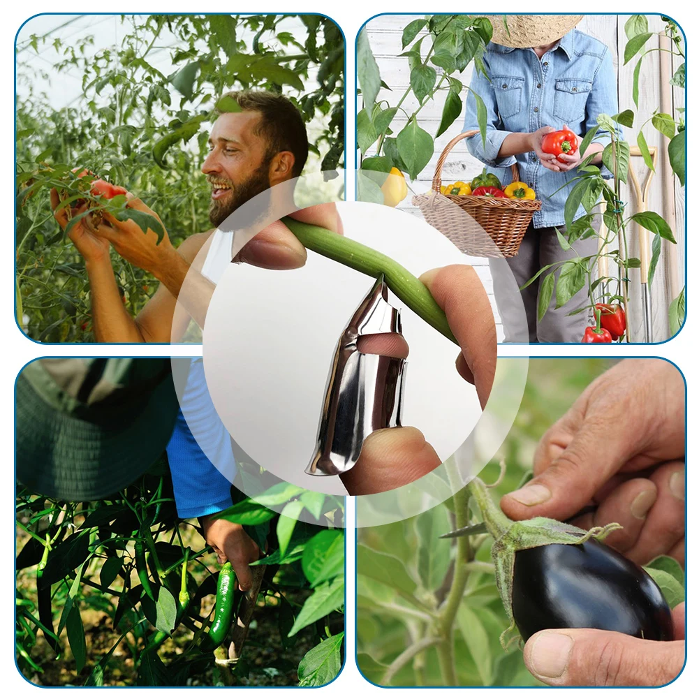 Stainless Steel Bean Picker Rings For Thumb Effortless Harvesting Bean Picker For Pepper Fruits Veggies