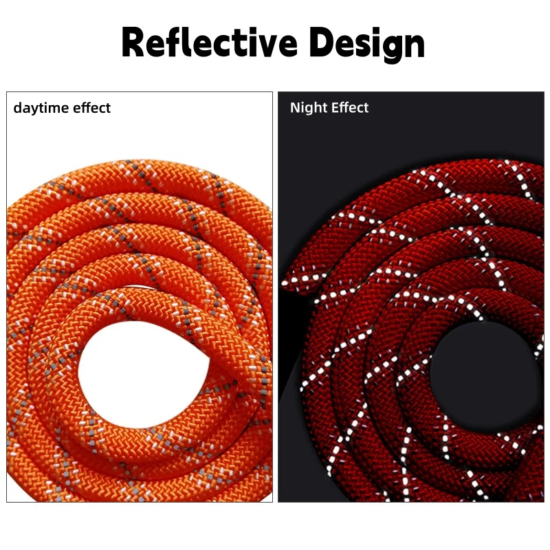 Reflective Nylon Dog Leash with Soft Padded Handle - Durable Training Rope